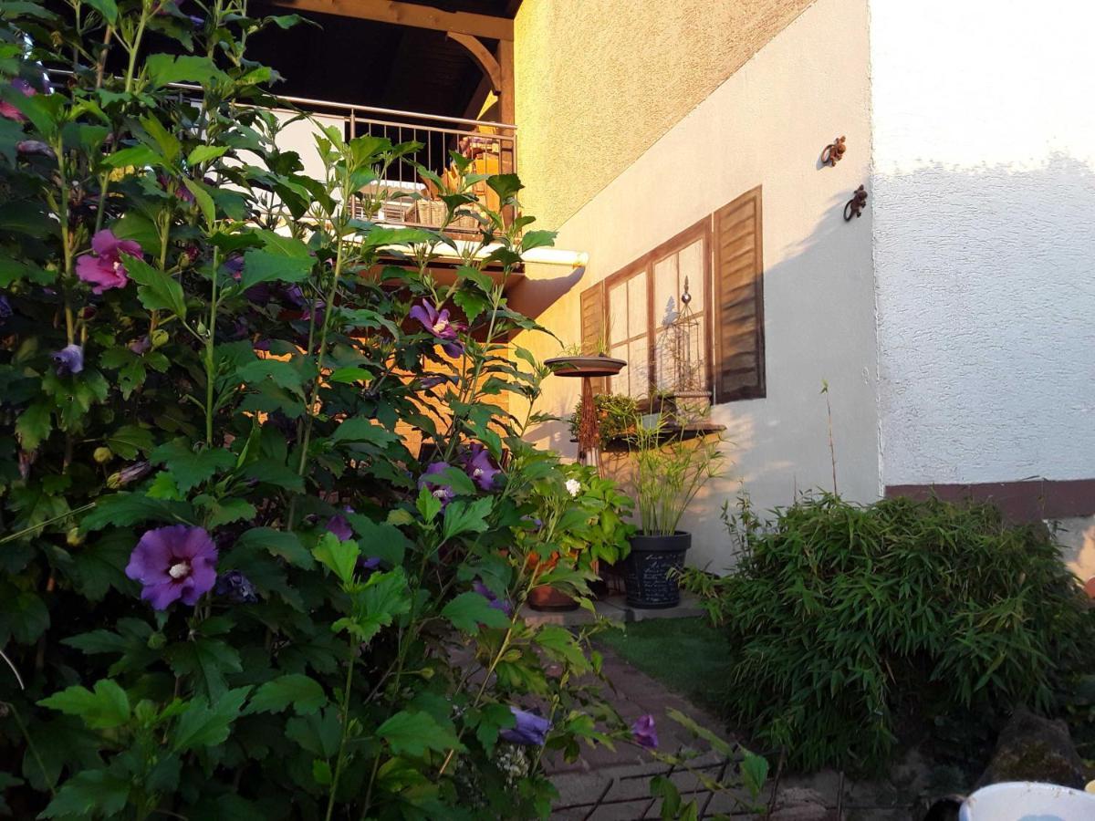 Appartement Haus Sonnenblick à Momlingen Extérieur photo